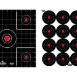 B/C DIRTY BIRD COMBO TARGETS 12PK