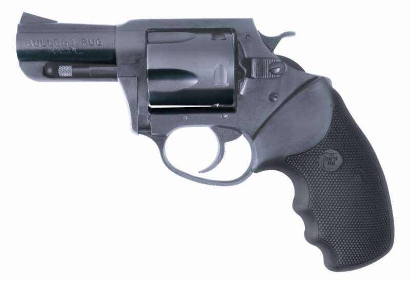 Charter Arms Bulldog 44Spc Bl 2.5"