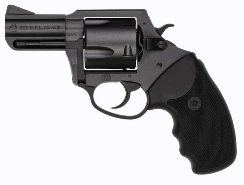Charter Arms Mag Pug 357M Nitride 5rd 2.2"