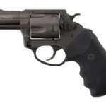Charter Arms Charter Pitbull 40 SW Nit 2" FS