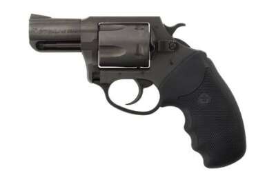 Charter Arms Charter Pitbull 40 SW Nit 2" FS