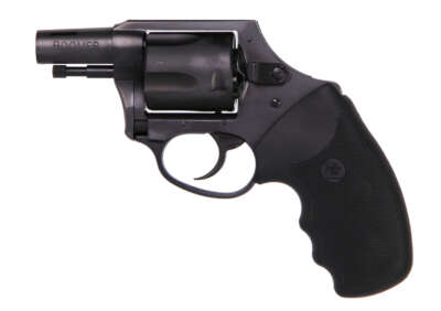 Charter Arms Charter Boomer 44Spc Nitride