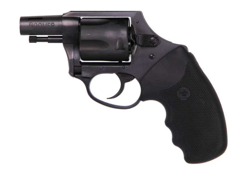 Charter Arms Charter Boomer 44Spc Nitride