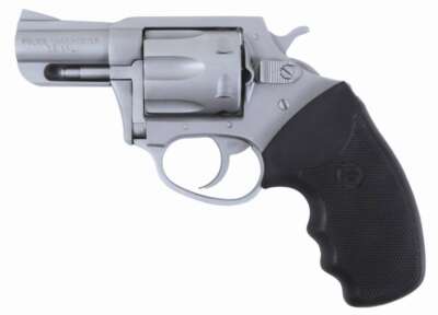 Charter Arms Charter Pol Undrcvr 38Sp Ss 2"
