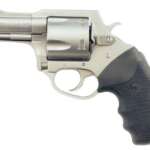 Charter Arms Charter Pitbull 45 ACP Ss 2.5"
