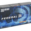 Federal Power-Shok