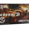 Federal .45-70 GOVERNMENT 300 GR