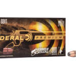 Federal .45-70 GOVERNMENT 300 GR 20/200