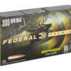 Federal Premium .300 Winchester Magnum 185 GR 20/200