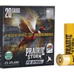 Federal 20 Gauge 3" #4 25/250