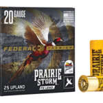 Federal 20 Gauge 2.75" #5 25/250