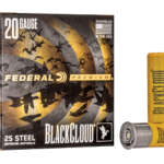 Federal 20 Gauge 3" #4 25/250