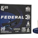 Federal .45 ACP 205 gr 20/200