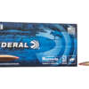 Federal 5.56/.223 53 gr