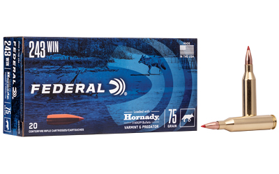 Federal .243 Winchester 75 GR 20/200