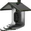 FEATHERSNAP SCOUT BIRDFEEDER - WI-FI SOLAR POWERED W/ CAMERA