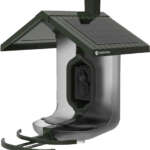 FEATHERSNAP SCOUT BIRDFEEDER - WI-FI SOLAR POWERED W/ CAMERA