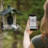 FEATHERSNAP SCOUT BIRDFEEDER - WI-FI SOLAR POWERED W/ CAMERA