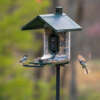 FEATHERSNAP SCOUT BIRDFEEDER - WI-FI SOLAR POWERED W/ CAMERA