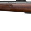 CZ 600 ST2 AMERICAN HG 308WIN - 20" BLUED WALNUT STOCK  <