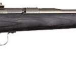 Chipmunk Rifle 22Lr - Stainless/Black Laminate