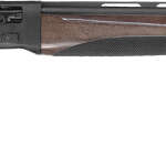 Tristar Raptor Ii Youth 20Ga - 3" 24" Blued Walnut