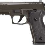 SIG P226XCA LEGION 9MM 3.8" - XRAY3 DA/SA (3)10RD HOGUE G10