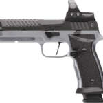 SIG P320 SXG MAX 9MM 5" - ROMEO3MAX (4)10RD 2-TONE