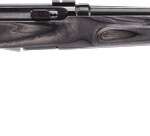 Savage A17 Heavy Barrel .17 HM2 22" Barrel Semi-automatic Rifle