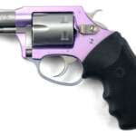 Charter Arms Lavender Lady - 22Wmr 2" Lavender/Ss
