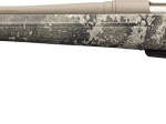 Winchester 350 Legend  50rd