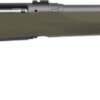 Savage 110 Trail Hunter 350 Legend 18" Barrel Bolt Action Rifle