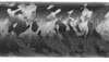 Savage 110 KLYM 7MM PRC 22" Barrel Bolt Action Rifle