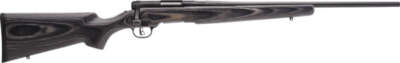 Savage B.MAG Sporter .17 WSM 22" Barrel Bolt-action Rifle