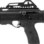 HI-POINT PISTOL 9MM 10RD - 13.25" THREADED WITH BRACE BLK