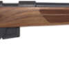 Anschutz 1761 D Hb 17Hmr - 20" Blued/Walnut Classic