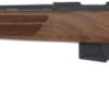 Anschutz 1761 D Hb 17Hmr - 20" Blued/Walnut Classic