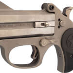 BOND ARMS STINGER RS 22LR - 3" MATTES SS NYLON GRIP