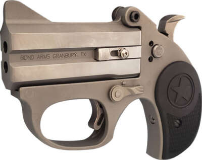 BOND ARMS STINGER RS 22LR - 3" MATTES SS NYLON GRIP