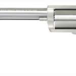 DESERT EAGLE BFR 500S&W - 10" STAINLESS RUBBER