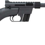 Henry U.S. Survival AR-7 22Lr - 16.125" Black Synthetic
