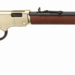 Henry H4 Goldenboy 22Wmr - 20.5" Octagon Walnut