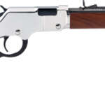 Henry H4 Goldenboy Silver - Youth 22S/L/LR 17" Oct. Walnut