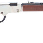 Henry H4 Goldenboy Silver - 22S/L/LR 20" Octagon Walnut