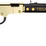 Henry H4 Texas Tribute Edition - 22S/L/LR 20" Octagon