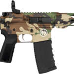 HIPOINT PISTOL HP-15 300 AAC - 10.5" 30RD BLADE BRACE M81