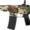 HIPOINT PISTOL HP-15 300 AAC - 10.5" 30RD BLADE BRACE M81