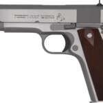 Savage 1911 Government .38 Super Auto Stainless Steel Finish Semi-Auto Pistol