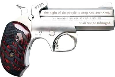 BOND ARMS PROTECT 2ND AMMEND - 45LC/410 3" 4.25" W/HOLSTER