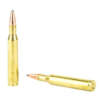 Hornady American Whitetail .270 Winchester 130gr InterLock SP 20rd